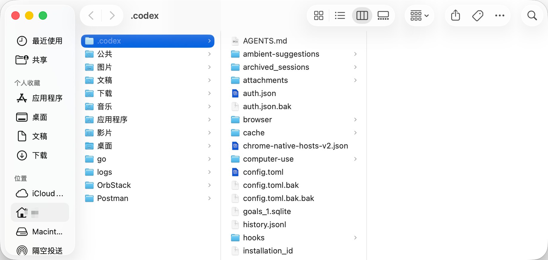 Codex 配置文件夹