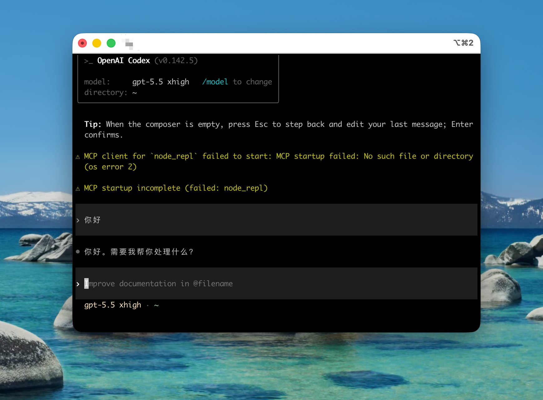 Codex 测试