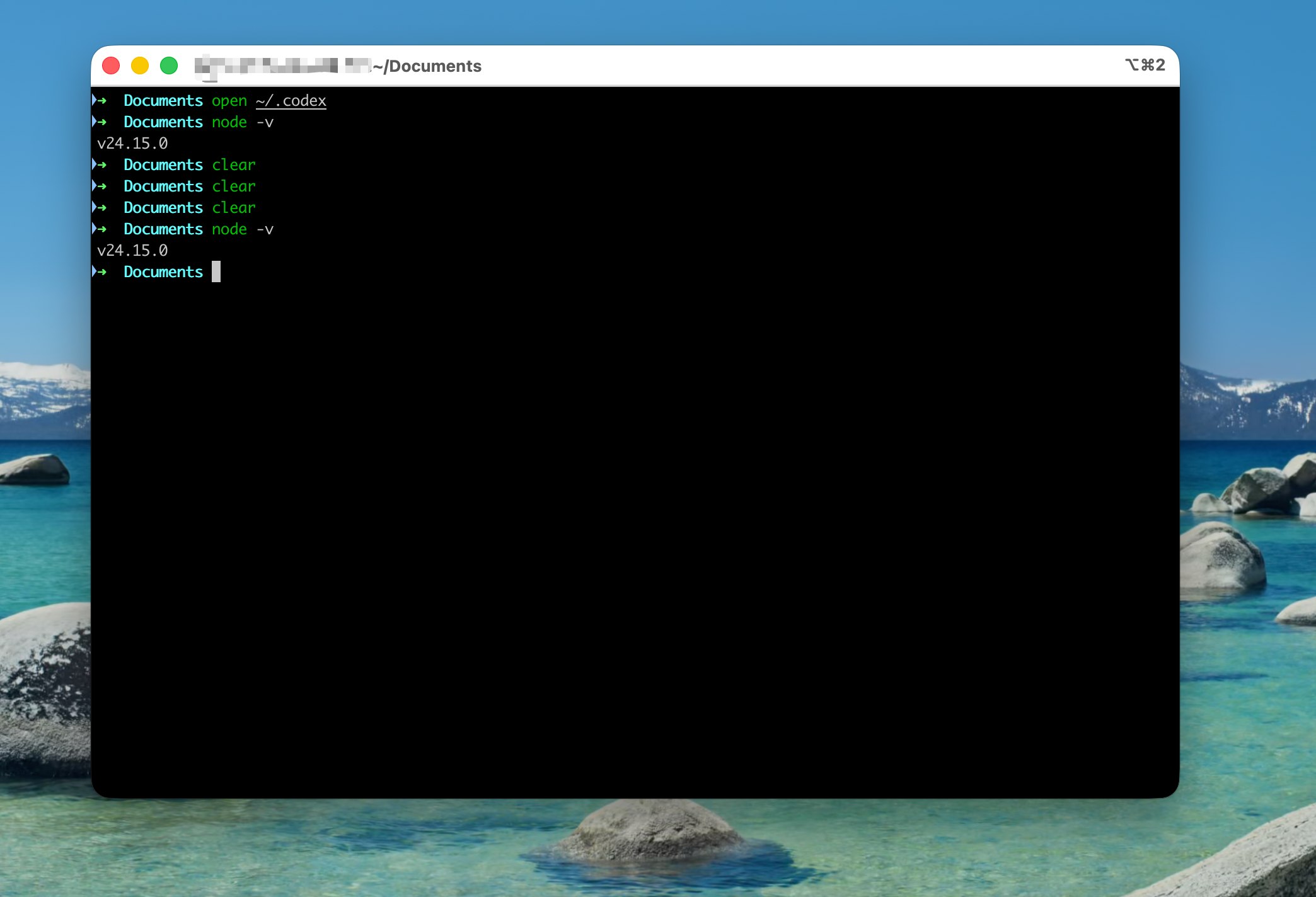 Node.js 检查